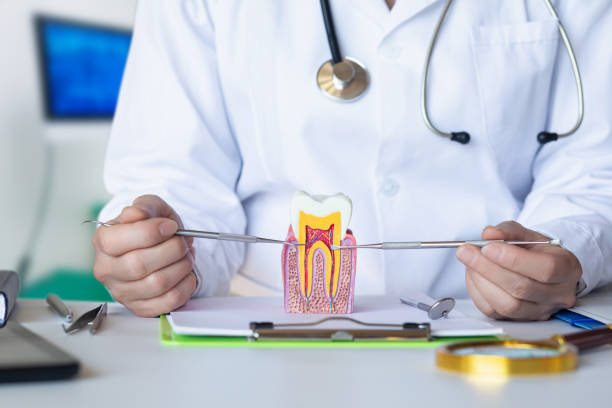 Best Emergency Root Canal Treatment in Edgewood, IN